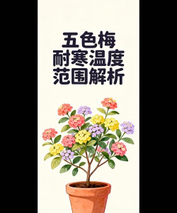小众送妈妈的花有哪些花