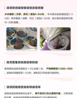 小众送妈妈的花有哪些花