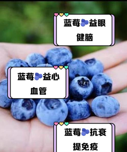 蓝莓打药吗
