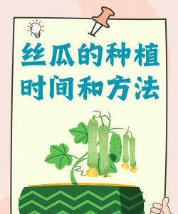 丝瓜什么时候种植最好