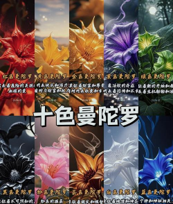 小众送妈妈的花有哪些花