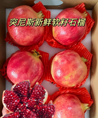 软籽石榴几年挂果