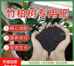 小众送妈妈的花有哪些花