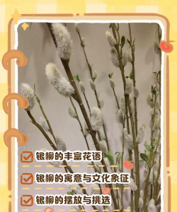 小众送妈妈的花有哪些花