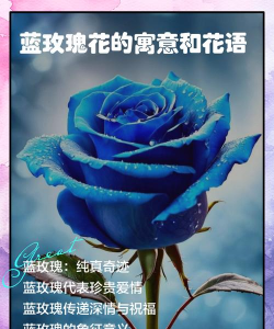 小众送妈妈的花有哪些花