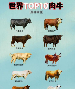 畜牧业包含哪些品种