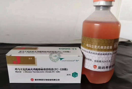 禽用疫苗厂家有哪些