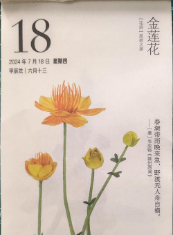 小众送妈妈的花有哪些花