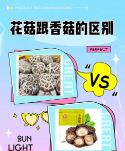 花菇是香菇吗