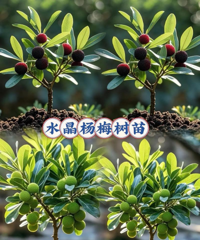 小众送妈妈的花有哪些花