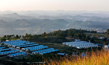 小众送妈妈的花有哪些花