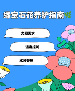 小众送妈妈的花有哪些花