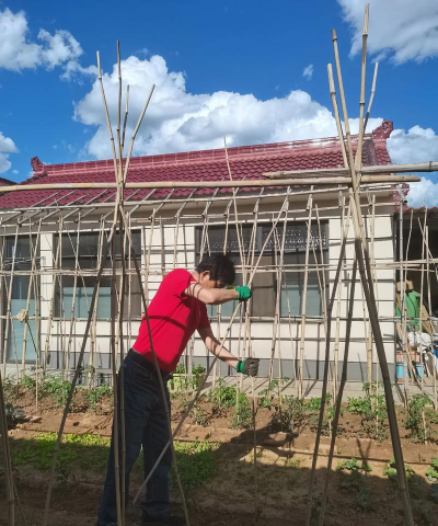 小众送妈妈的花有哪些花
