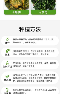 菜心的种植方法和时间