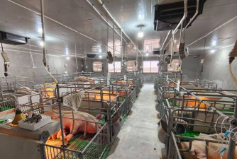 南京养猪场有哪些