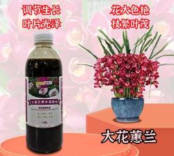 小众送妈妈的花有哪些花