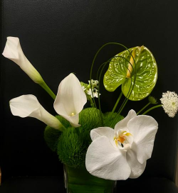 小众送妈妈的花有哪些花