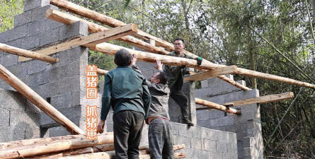 小众送妈妈的花有哪些花