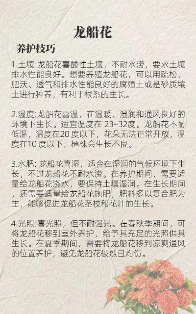 小众送妈妈的花有哪些花