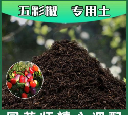 小众送妈妈的花有哪些花