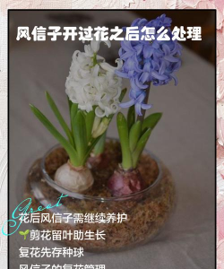 小众送妈妈的花有哪些花
