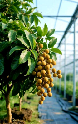 小众送妈妈的花有哪些花