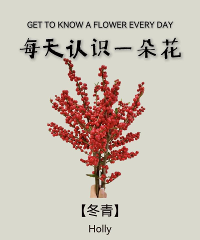 小众送妈妈的花有哪些花