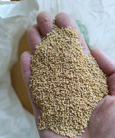 小众送妈妈的花有哪些花