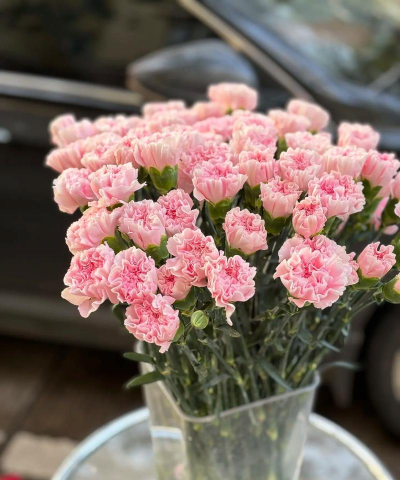 小众送妈妈的花有哪些花