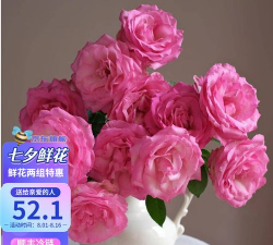 小众送妈妈的花有哪些花