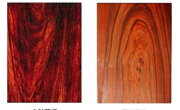 小众送妈妈的花有哪些花