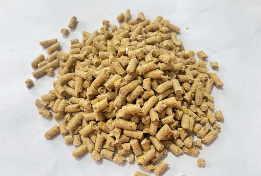 小众送妈妈的花有哪些花