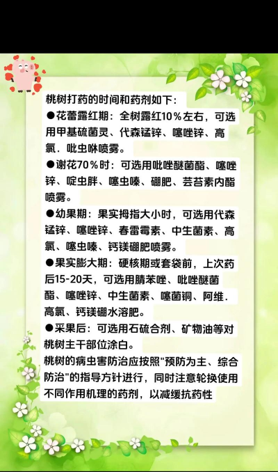 桃树施肥时间和方法