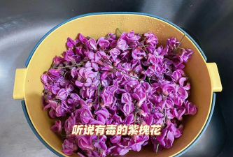 小众送妈妈的花有哪些花