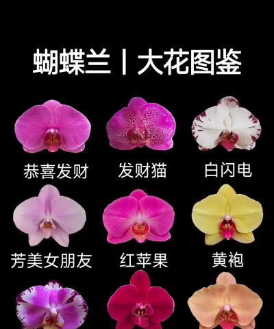 小众送妈妈的花有哪些花