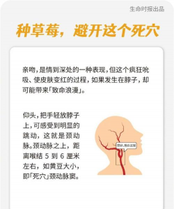 种草莓要避开哪些位置