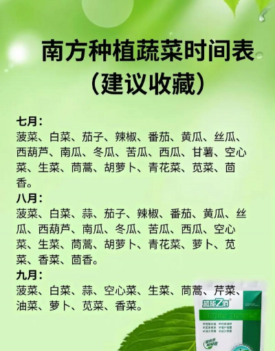广东菜心一年四季都可以种吗