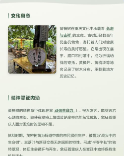 黄桷树象征着什么
