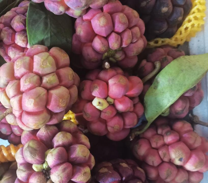 海南有哪些水果