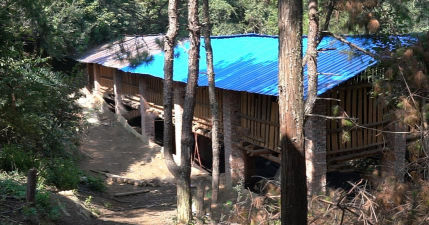 小众送妈妈的花有哪些花