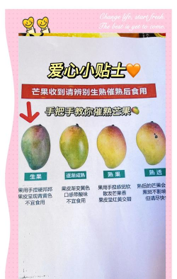 冬季芒果怎么催熟