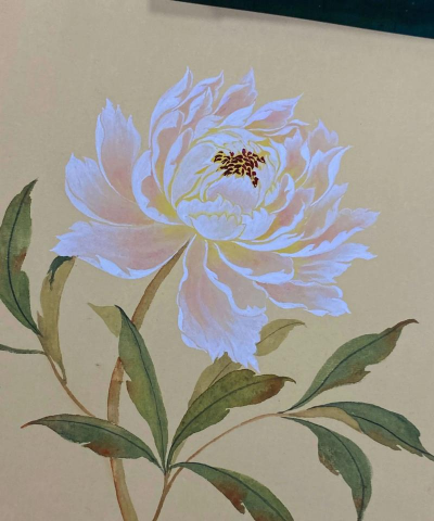 小众送妈妈的花有哪些花