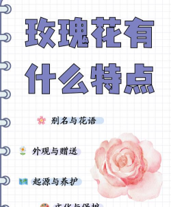 小众送妈妈的花有哪些花