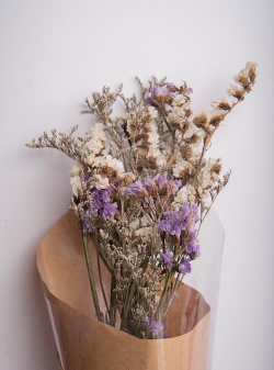 小众送妈妈的花有哪些花