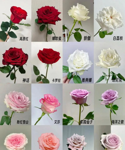 小众送妈妈的花有哪些花