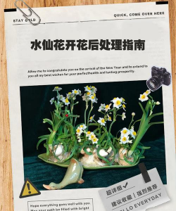 小众送妈妈的花有哪些花