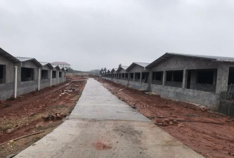 小众送妈妈的花有哪些花