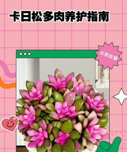 小众送妈妈的花有哪些花