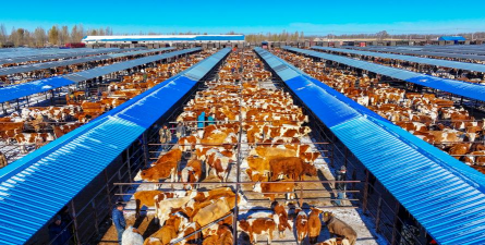 小众送妈妈的花有哪些花