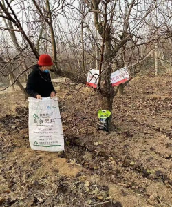 小众送妈妈的花有哪些花